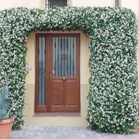 Il Gelsomino - Di Bolsena Apartment *